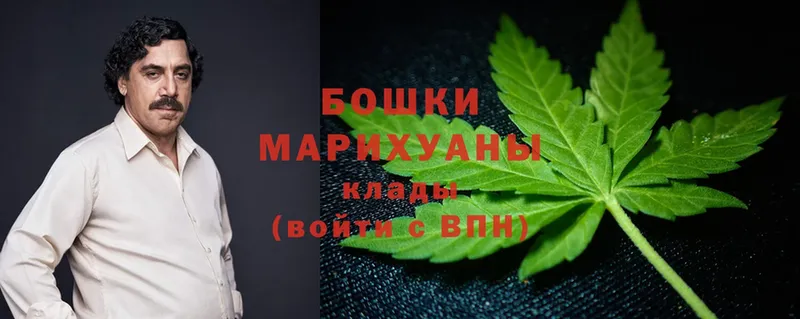 где можно купить   Александров  Бошки Шишки SATIVA & INDICA 